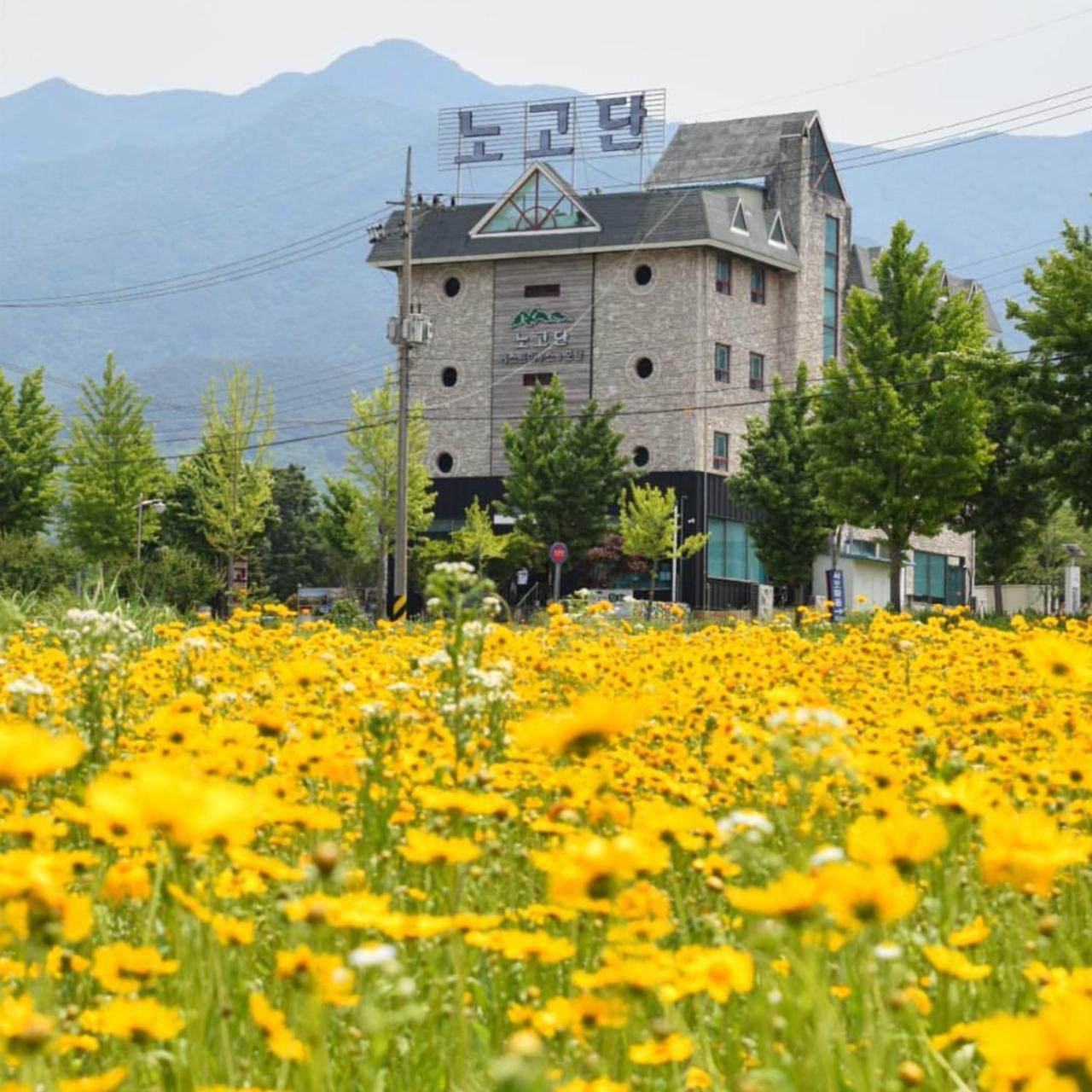 Nogodan Guesthouse And Hotel Gurye Exterior photo